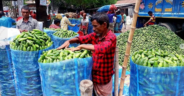 আবহাওয়া অনুকূলে থাকায় গোবিন্দগঞ্জে পটলের বাম্পার ফলন